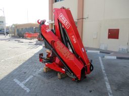 NEW FASSI F195A.0.22 CRANE 2024 full