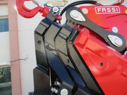 NEW FASSI F295A.2.24 CRANE 2024 full