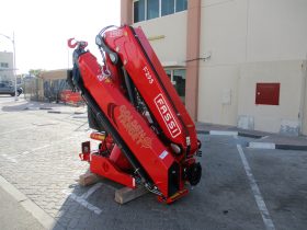 NEW FASSI F295A.2.24 CRANE 2024