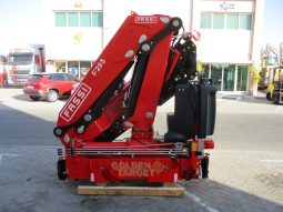 NEW FASSI F295A.2.24 CRANE 2024 full